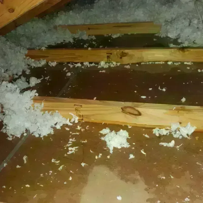 Attic Water Damage in Holiday Lakes, TX