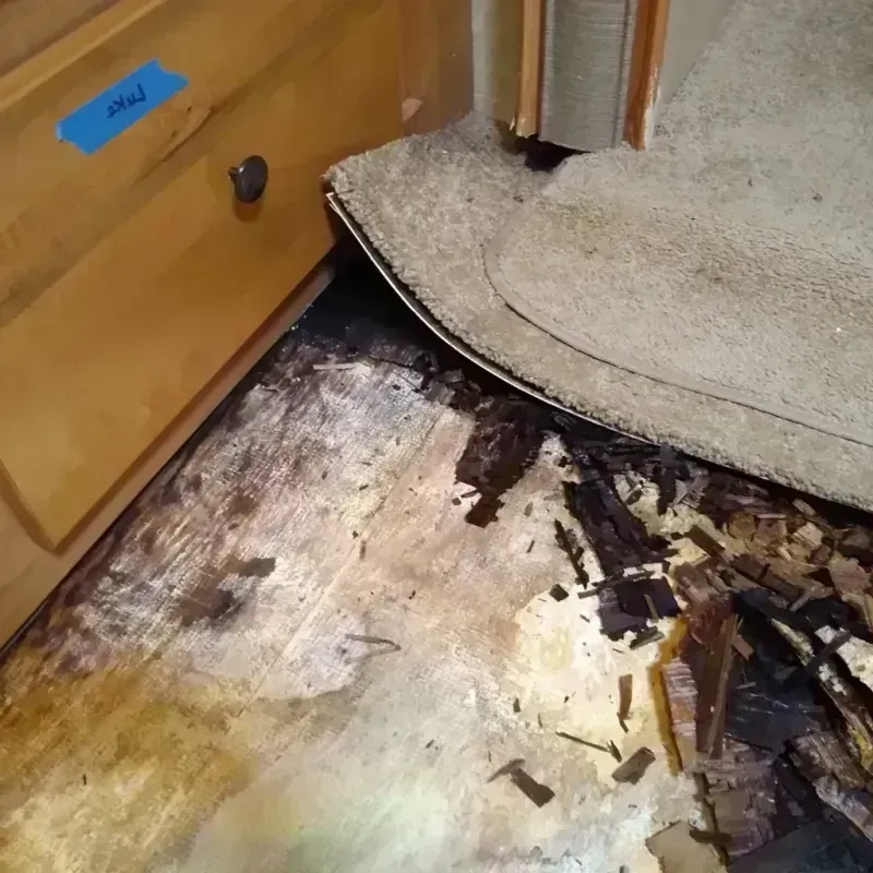 Wood Floor Water Damage in Holiday Lakes, TX